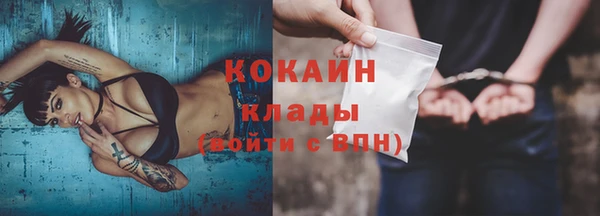 шишки Арсеньев